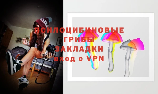 mdpv Белокуриха