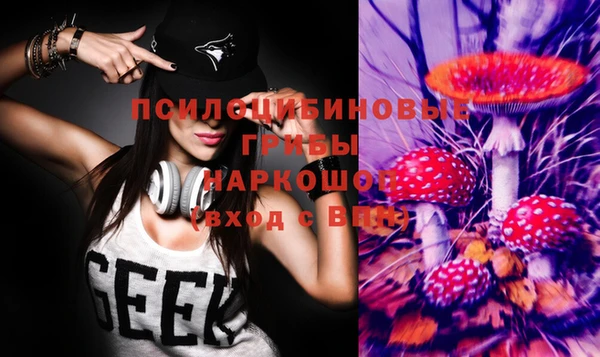 СК Беломорск