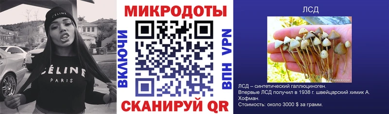 Псилоцибиновые грибы прущие грибы Емва
