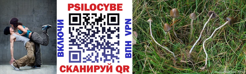 darknet состав  Емва  Псилоцибиновые грибы мухоморы 